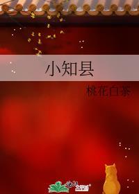 小知县番外