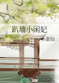 趴墙小闲妃24