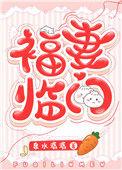 福妻临门全文免费阅读完整版