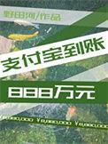 支付宝到账100万