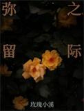 弥留之际爱丽丝第一季
