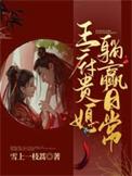 王府贵女夏子安