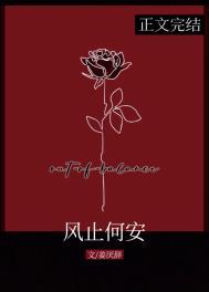 风止何安暗示男女关系吗