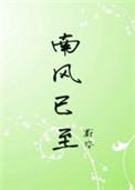 南风已至txt