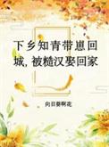 下乡知青带千亿物资嫁糙汉多胎了