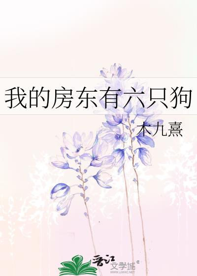 我房东的猫